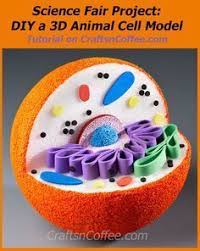 Is There A Science Project In Your Future Not To Worry Earlier This Week I Shared How To Make Progetto Cellula Animale Cellula Animale Scienza Scuola Media