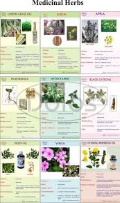 Ayurveda Charts