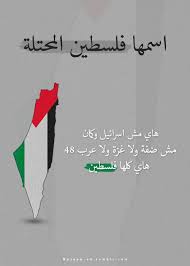 فلسطين في القلب palestine art palestine history palestine