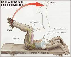 How To Reverse Crunch Fitness Workouts Exercises Abs Workout Exercise Fitness Body