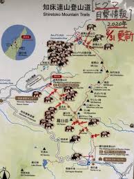 クマと遭遇したらどう対処すべきか～「熊よけ鈴」にクマを遠ざける効果はあるのか～ - うりぼうのアンテナ