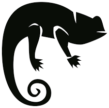 Examine it closely and compare only after drawing the silhouette can you add the details. Free Photo Silhouette Animal Nature Drawing Chameleon Outline Max Pixel