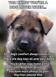 This Is Totally Me Dogs Dog Quotes I Love Dogs