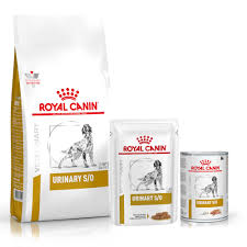 I did this because one of my cats could only have wet food due to getting urinary track infections. Royal Canin Urinary Adult Dog Food Medicanimal Com