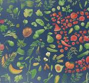 Plant Communications: Cell Press