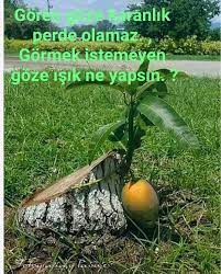 reyhan italy adli kullanicinin hayat agir panosundaki pin guzel soz elhamdulillah