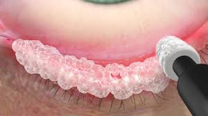 Image result for Blepharis obmitrata