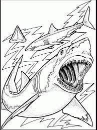 Free Printable Ocean Coloring Pages For Kids Shark Coloring Pages Ocean Coloring Pages Coloring Pages