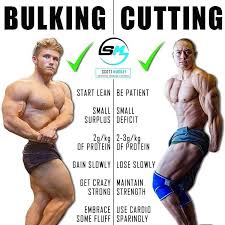 Pin On Weight Loss Calculator