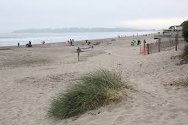 Stinson Beach Stinson Beach Ca California Beaches
