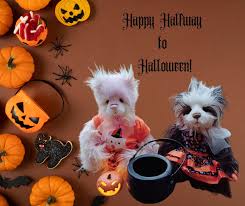 👻🍫🥜Boo! Chocolate Peanut Butter Bars🥜🍫👻 👻Ingredients: ▢ 3/4 cup  honey ▢ 1/4 cup maple syrup ▢ 1 1/4 cups creamy peanut butter ▢ 3 cups corn  flakes cereal ▢ 2 cups brown