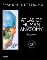 Free Medical Books 041 Jpg 455 581 Medicine Book Human Anatomy Atlas Anatomy