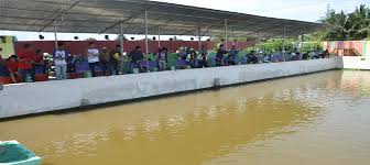 Bina Sriwijaya Palembang