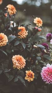Anime, vaporwave, aesthetic, people, unrecognizable person. 12 Floral Iphone Xs Wallpapers To Celebrate Spring Preppy Wallpapers