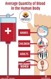 This fluid that flows through our bodies, though. Average Quantity Of Blood In The Human Body Canwinn