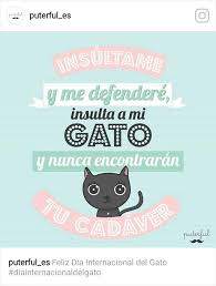 Si no tienes gato, y te gustaría. Jajajajajajajajaja Por Cierto Feliz Dia Del Gatooo Fandom