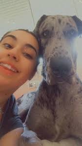 Browse 144 cat, dog boarding, walking, grooming in washington, united states. Pet Sitters In Velez Malaga With Best Prices On Petbacker
