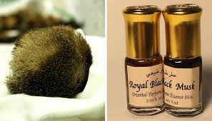 Urina ideală translucidă cu o ușoară galbenă fără miros. Mirosul De Mosc Duhoarea Unui Animal SÄlbatic TransformatÄ De Oameni In Parfum Tre Ro