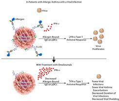 New Insights Into The Utility Of Omalizumab Journal Of Allergy And Clinical Immunology