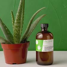 Image result for Aloe