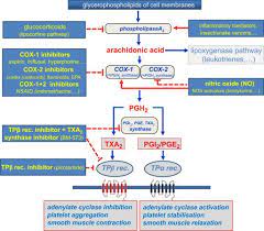Antiplatelet Therapy A Pharmacologist S Perspective Sciencedirect Combination Therapy Pharmacologist Therapy