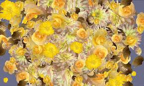You can download or direct link all flowers clip art and animations on this page for free ‐ you will see all the relevant details, when you click on the graphic. The Abcs Of Flower Blooming Gifs Get The Best Gif On Giphy