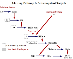 Modus operandi (mo) vs mechanism of action (moa). Lecture Notes On Anticoagulants Heparin Warfarin