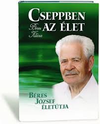 Béres józsef nevét ma intézmények, közterületek, emlékművek őrzik. Dr Beres Jozsef Emlekere Nyiregyhazi Egyhazmegye Gorogkatolikus Egyhaz