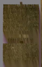 Whistle-Binkie; a collection of songs for the social circle