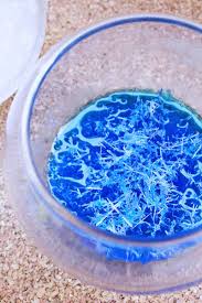 More epsom salt (it makes the solution more saturated). How To Grow Salt Crystals Overnight Babble Dabble Do