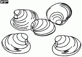 Clams Shells Coloring Page Coloring Pages Animal Coloring Pages Color
