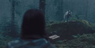 Zone blanche is still airing with no announced date for the next episode or season. Black Spot Tv Series S1 Episode 1 To 4 Review Cinecelluloid