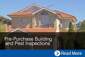 Pest inspections in brisbane used to mean drilling, tapping, and even ripping out sections of the wall. Building And Pest Inspection Brisbane Pre Purchase Pre Sale Pool Safety