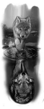 Jahrgangs liebe schüler*innen, liebe eltern und erziehungsberechtigte des kommenden jahrgangs 5, wir freuen uns sehr darauf, sie und euch nach den sommerferien an unserer schule begrüßen zu dürfen. 140 Wolf Bilder Ideen In 2021 Wolf Bilder Wolf Wolfe Kunst