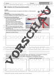 Kopiervorlagen Genetik Evolution Und Verhalten