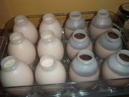 Yaourts A Boire Au Chocolat Ou A La Rose Multidelices Recette Ptitchef Recette Yaourts A Boire Yaourt A Boire Recette Yaourt Avec Yaourtiere