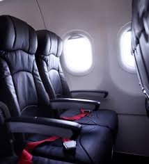 Image result for Azul Sky 1985 Fleet