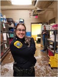Animal Control | Green Bay, Wi