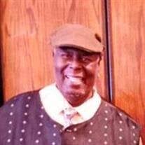 Mr. Willie Elvis Williams Obituary