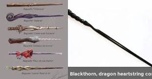 They are easiest for doing dark magic. Answer These Questions And Get A Wand Wands Dragon Heartstring This Or That Questions