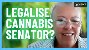 Legalise Cannabis Party could win first Senate seat next year