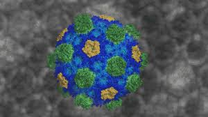 We like to hand select the best gifs found on the internets.the tiny gifs can be as old as 1999. Video Our First Ever Look At Bacterial Organelle Shells Msu Doe Plant Research Laboratory