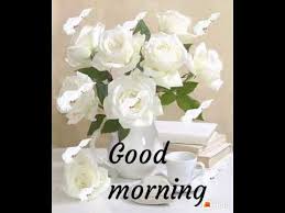 Good morning white roses pictures, photos, and images for facebook, tumblr good morning friends ﻿ flowers, beautiful roses, amazing flowers. Good Morning White Roses Birds Youtube
