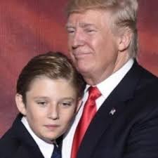 Subscene Wandavision First Season English Subtitle