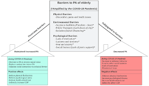 COVID-19: Barriers to Physical Activity in Older Adults, a Decline in  Health or Economy?