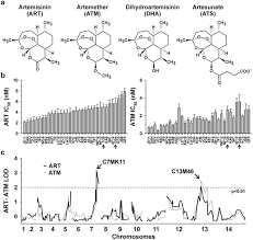 It's an acupuncture point located at the absolute top of your head, and is often used for curing headache, dizziness, eye pain, tinnitus and so on. Knockout Of The Peroxiredoxin 5 Homologue Pfaop Does Not Affect The Artemisinin Susceptibility Of Plasmodium Falciparum Scientific Reports