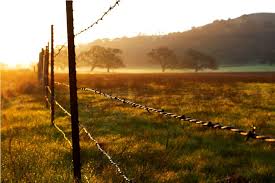 Golden Oak Imagery Beautiful Nature Most Beautiful Places California Love