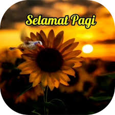 5 gambar bunga matahari untuk wallpaper gambar animasi gif swf dp bbm animasi bergerak, image source: Ucapan Selamat Pagi Gif Apps En Google Play