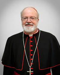 O'malley was elevated to the cardinalate in 2006. Cardinal Sean Patrick O Malley Archives Catholicireland Netcatholicireland Net