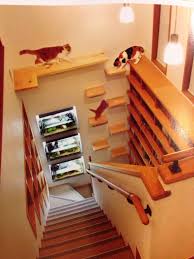 20 deep x 20 wide x 3 1/2 high. Catifying Cat Stairs Cat Room Cat Furniture